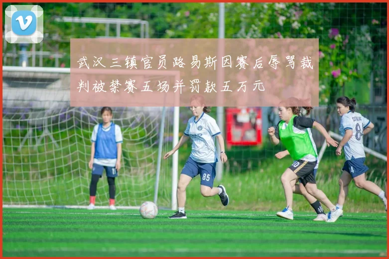 武汉三镇官员路易斯因赛后辱骂裁判被禁赛五场并罚款五万元