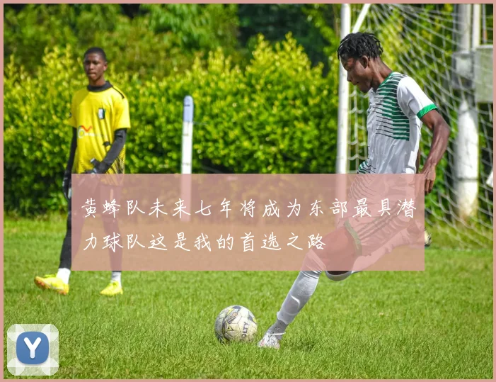 黄蜂队未来七年将成为东部最具潜力球队这是我的首选之路