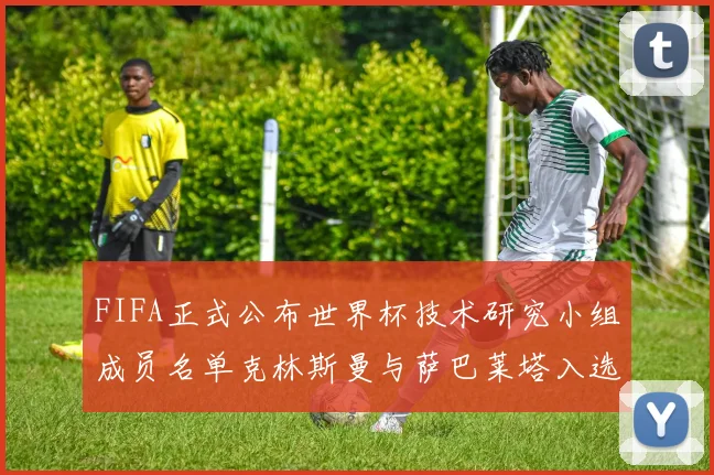 FIFA正式公布世界杯技术研究小组成员名单克林斯曼与萨巴莱塔入选